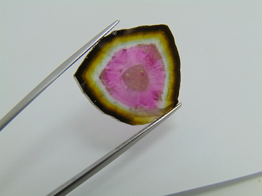 23.20ct Watermelon Tourmaline 25x24mm