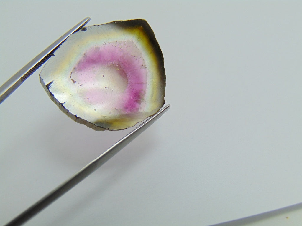 23.20ct Watermelon Tourmaline 25x24mm
