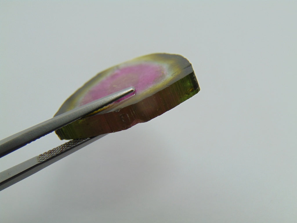 23.20ct Watermelon Tourmaline 25x24mm