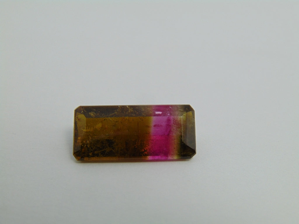 12.20cts Tourmaline (Bicolor)