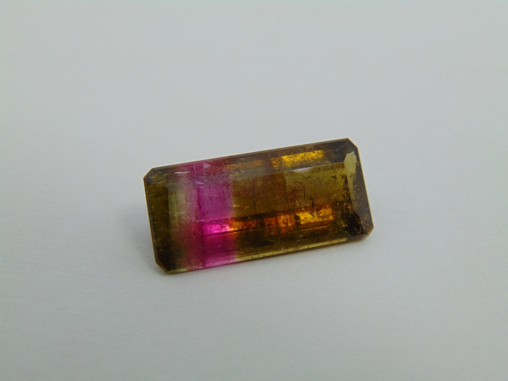 12.20cts Tourmaline (Bicolor)