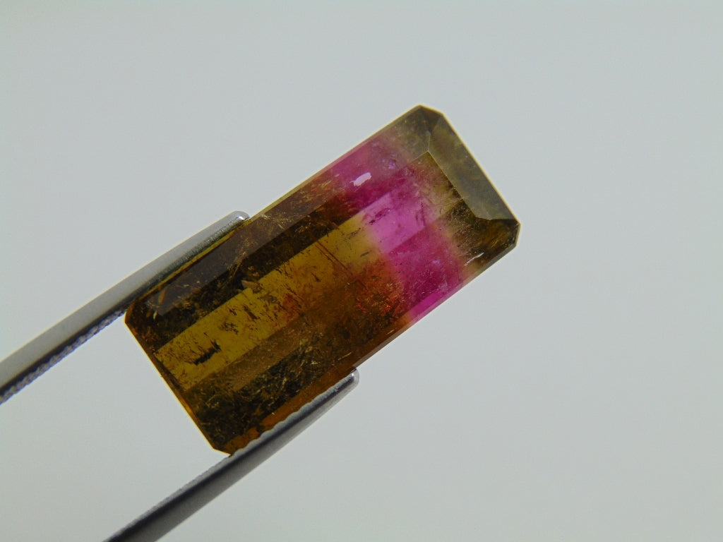 12.20cts Tourmaline (Bicolor)