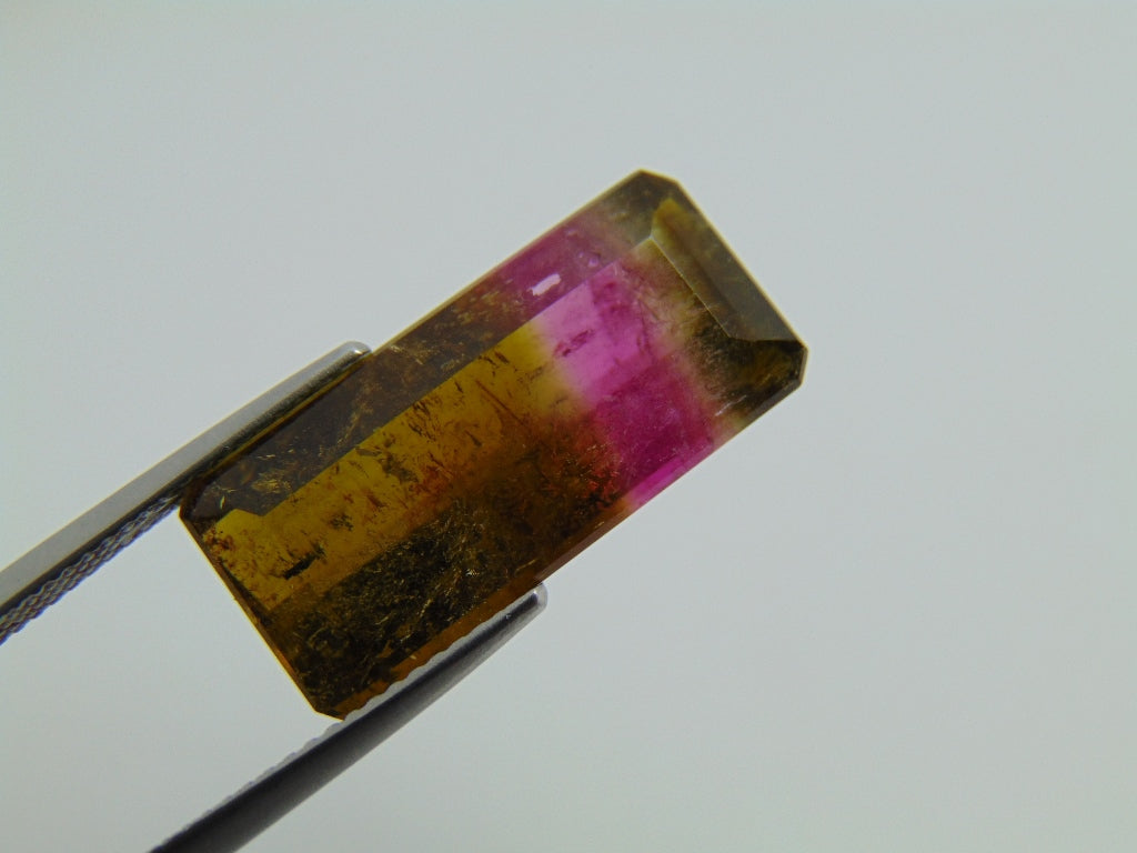 12.20cts Tourmaline (Bicolor)