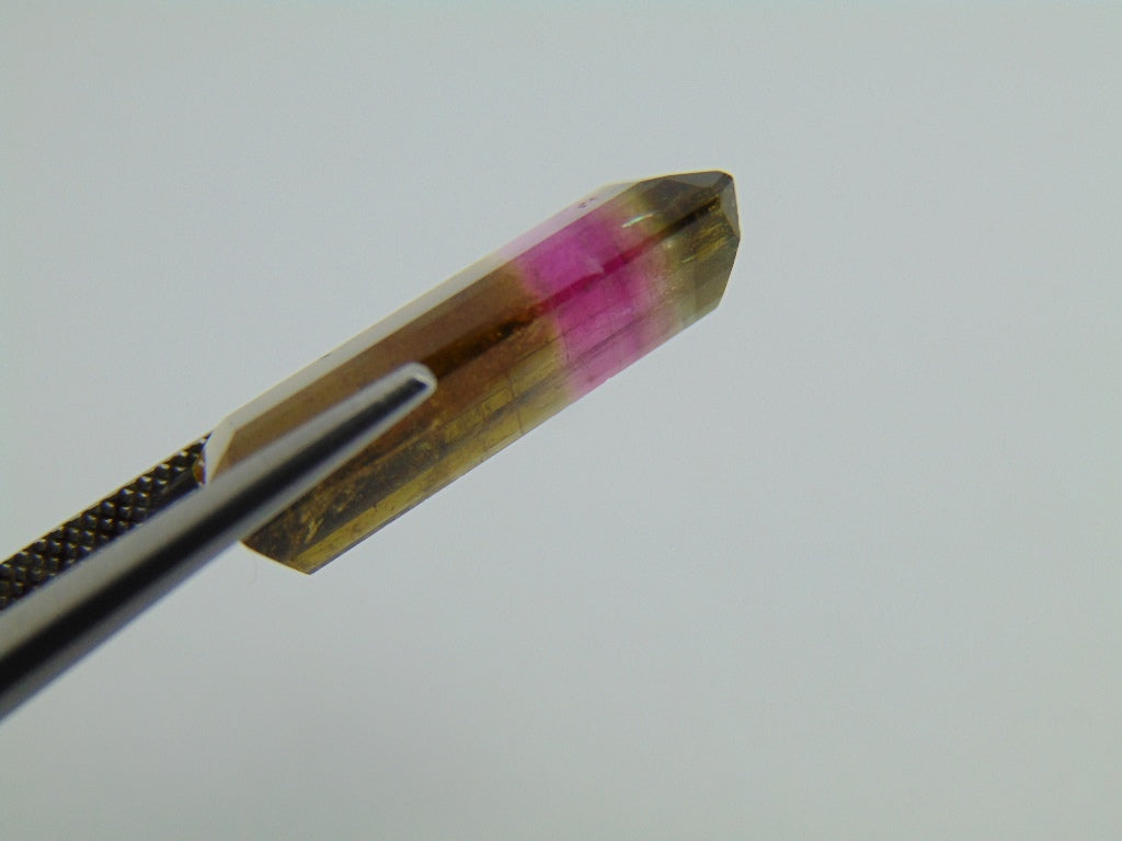 12.20cts Tourmaline (Bicolor)