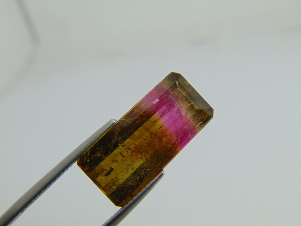 12.20cts Tourmaline (Bicolor)