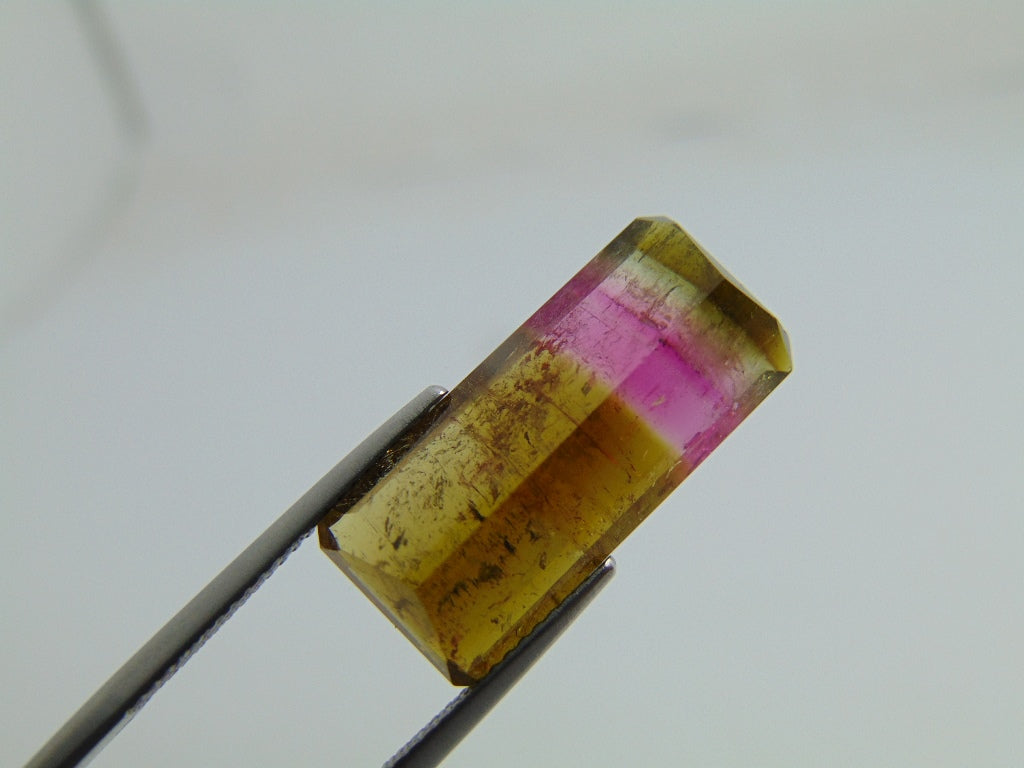 12.20cts Tourmaline (Bicolor)