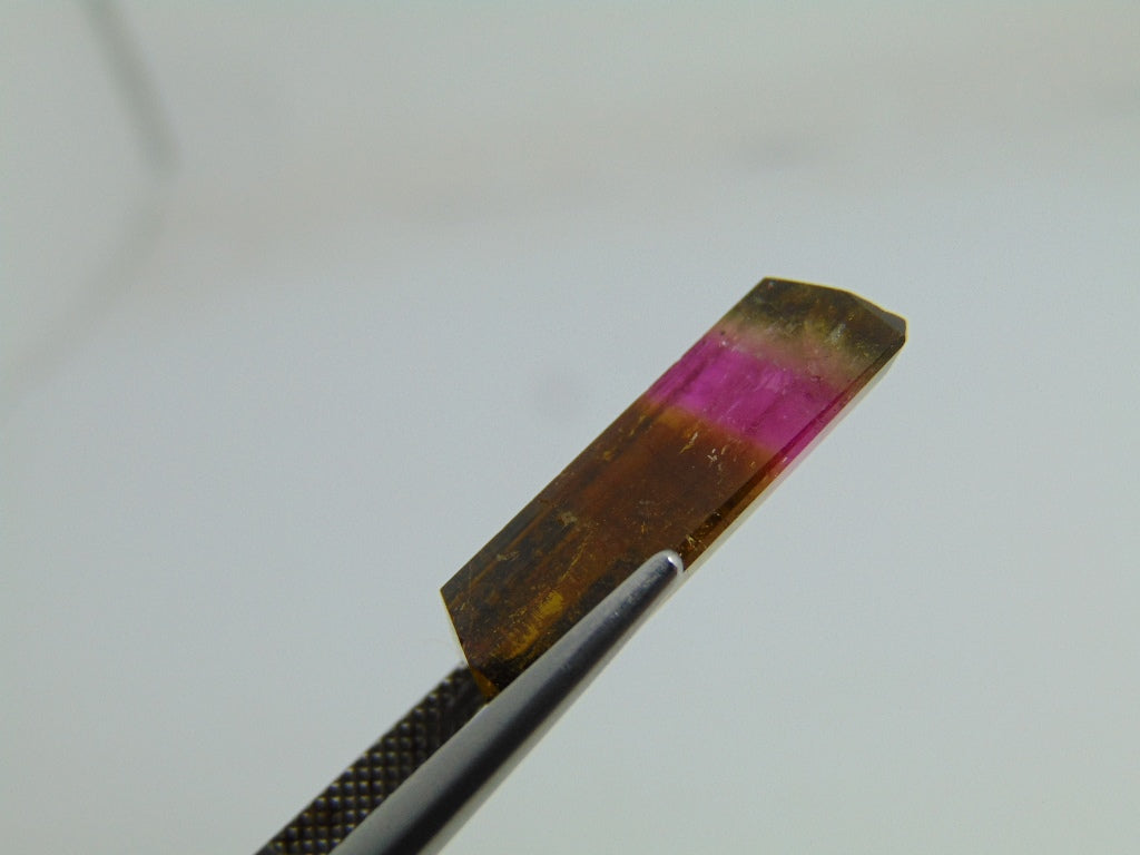 12.20cts Tourmaline (Bicolor)