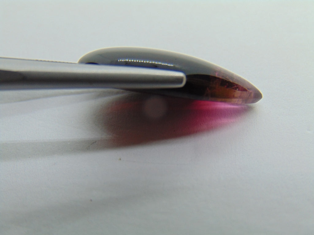 11.90ct Tourmaline Cabochon Bicolor 23x11mm