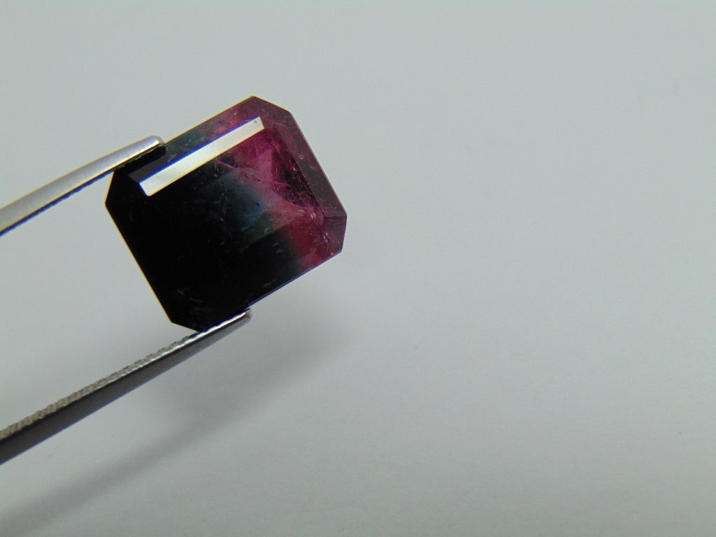 9.10cts Tourmaline (Bicolor)
