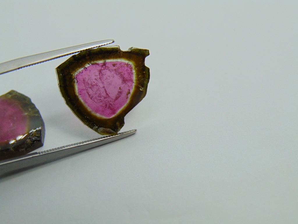 18cts Watermelon Tourmaline