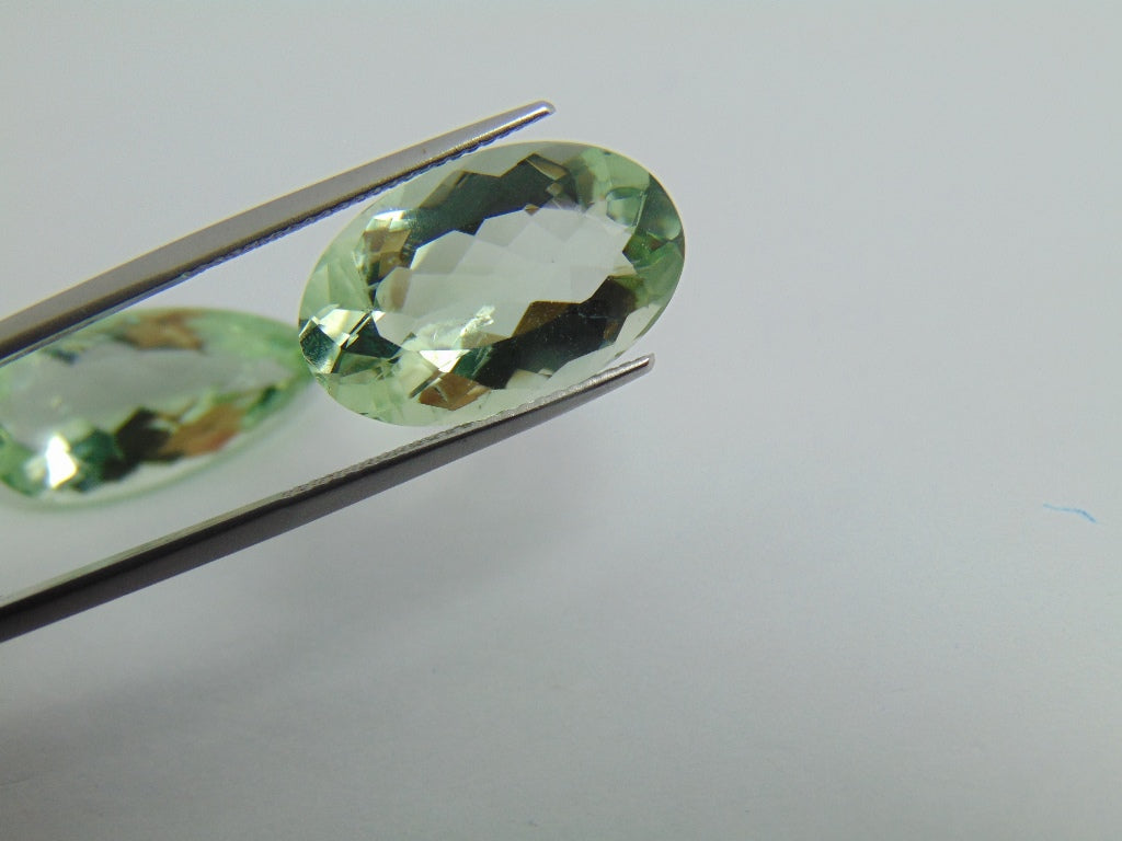 24.55cts Prasiolite