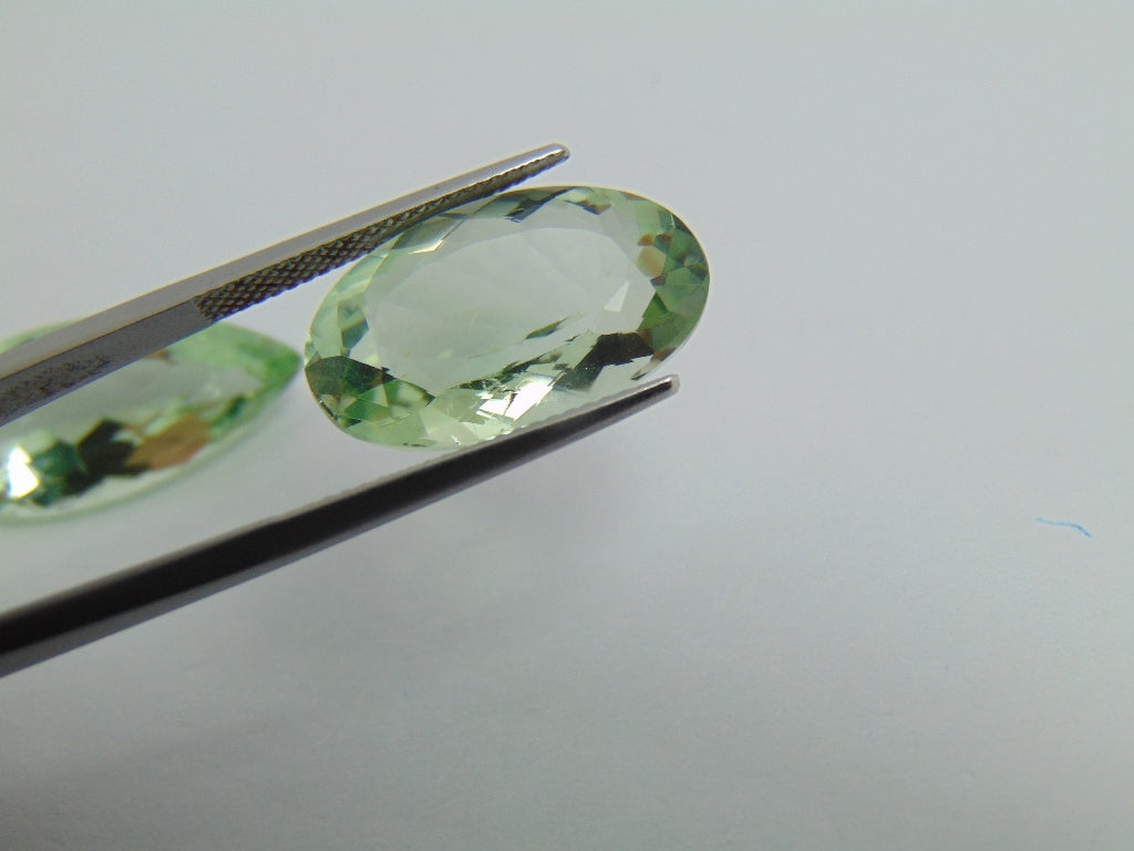 24.55cts Prasiolite