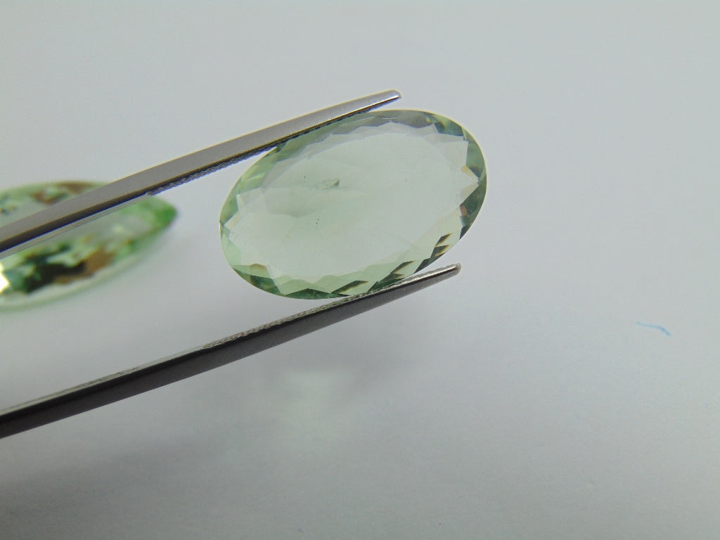 24.55cts Prasiolite