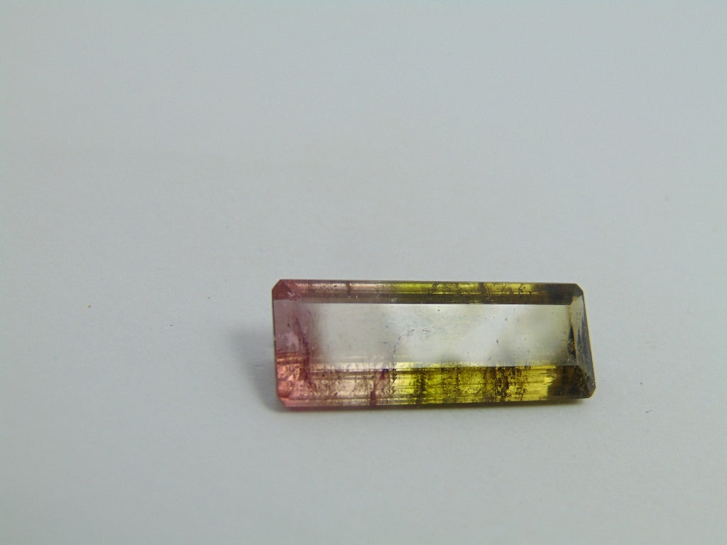 12.90ct Tourmaline Bicolor 25.5x9.5mm