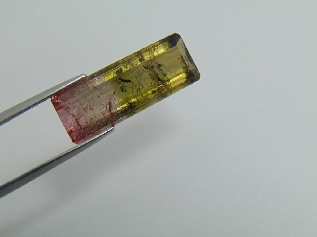 12.90ct Tourmaline Bicolor 25.5x9.5mm