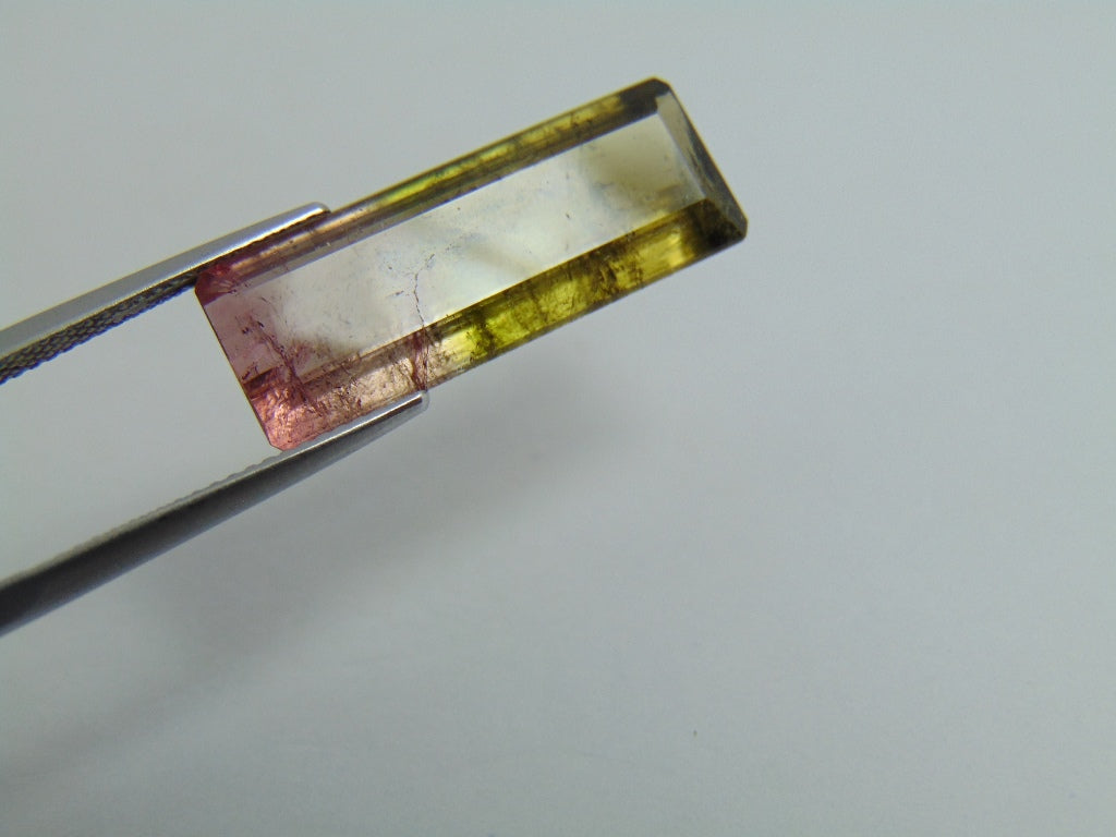 12.90ct Tourmaline Bicolor 25.5x9.5mm