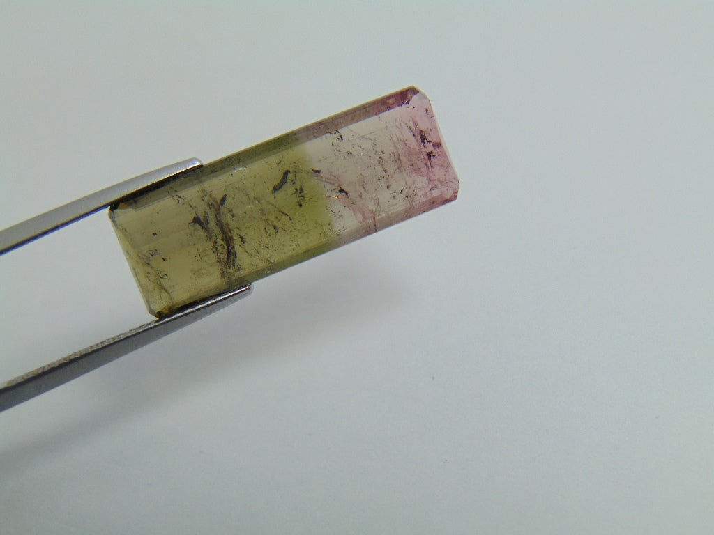 12.90ct Tourmaline Bicolor 25.5x9.5mm