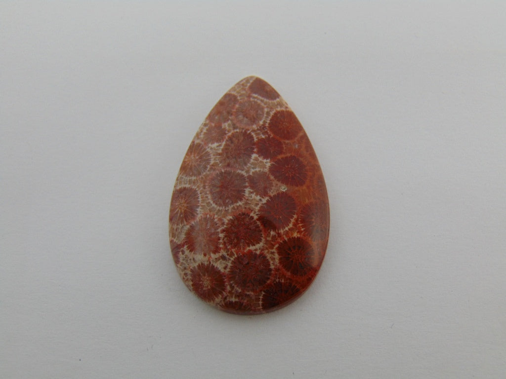 44ct Petoskey Stone 39x25mm