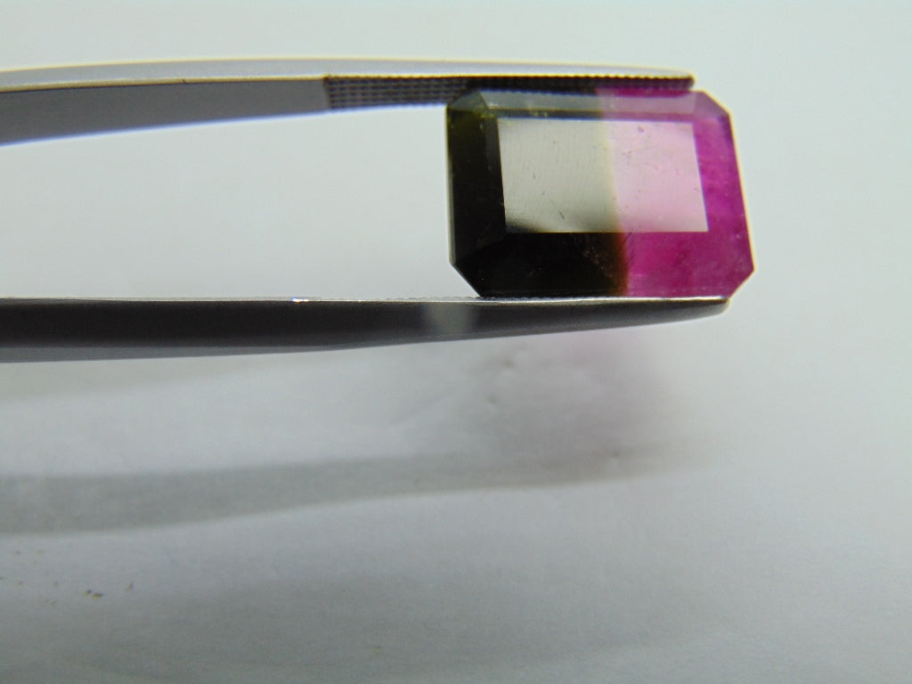10.05ct Tourmaline Bicolor 14x11mm