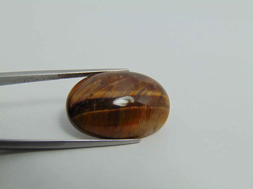 29.90cts Quartz (Tiger Eye)