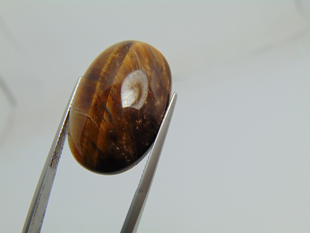29.90cts Quartz (Tiger Eye)