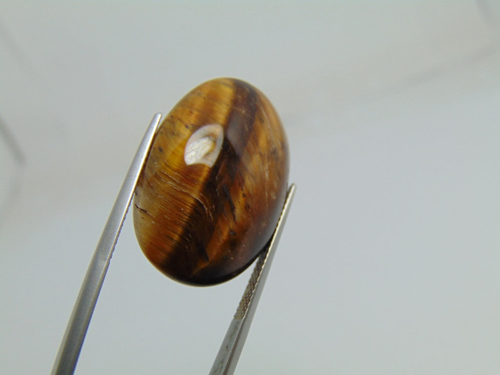 29.90cts Quartz (Tiger Eye)