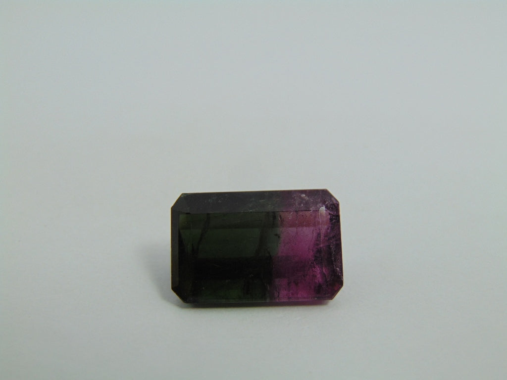 18.40cts Tourmaline (Bicolor)