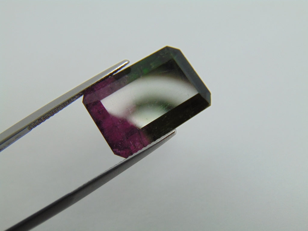 18.40cts Tourmaline (Bicolor)