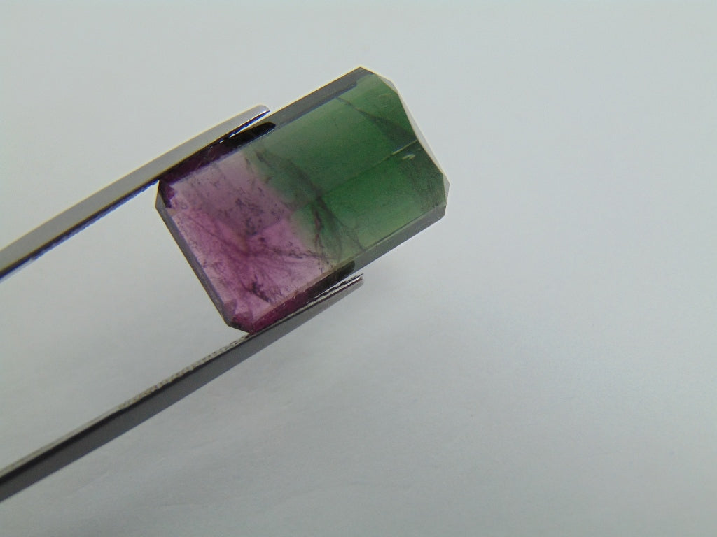 18.40cts Tourmaline (Bicolor)