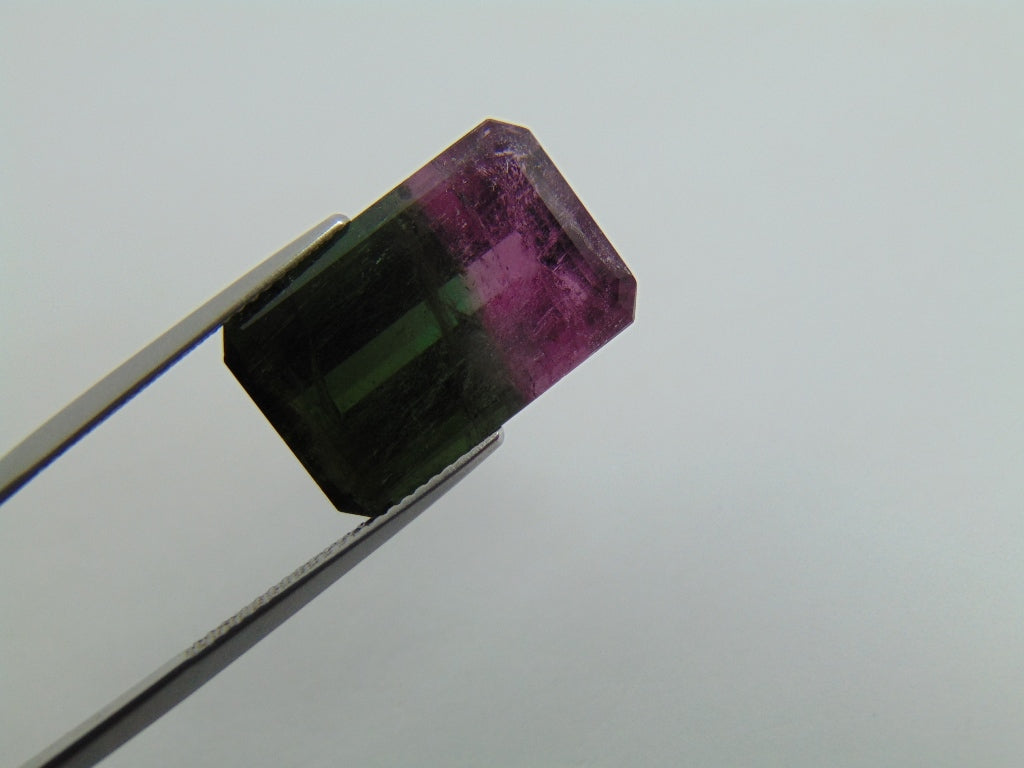 18.40cts Tourmaline (Bicolor)