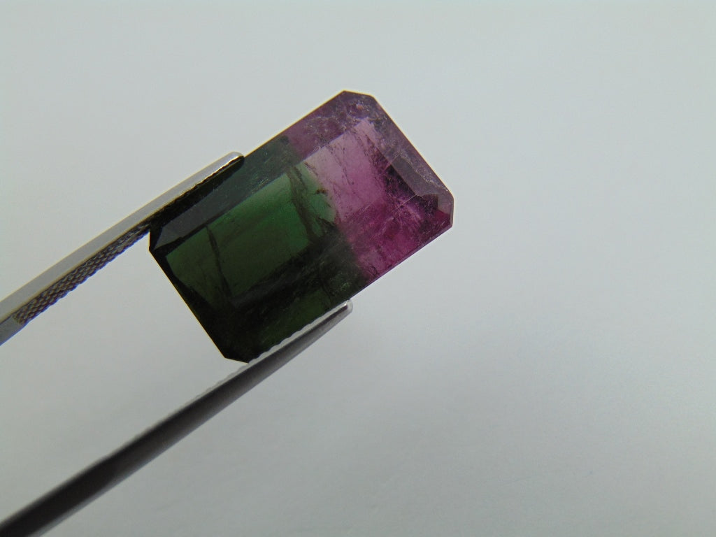 18.40cts Tourmaline (Bicolor)