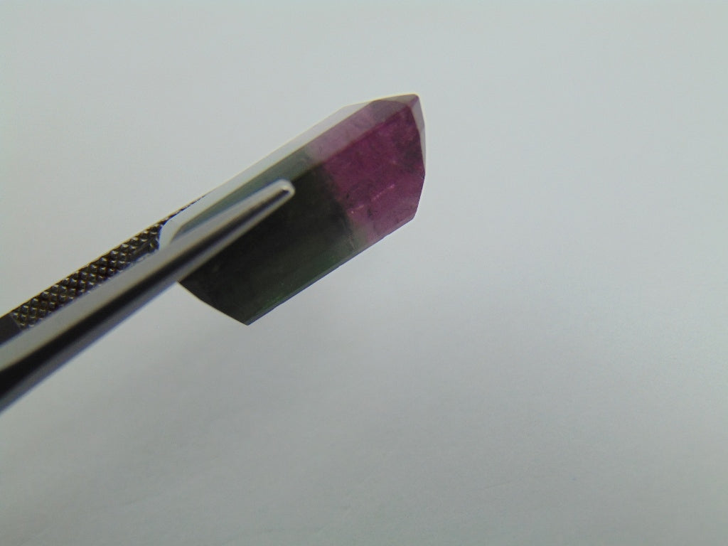18.40cts Tourmaline (Bicolor)