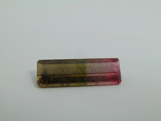 16cts Tourmaline (Bicolor)