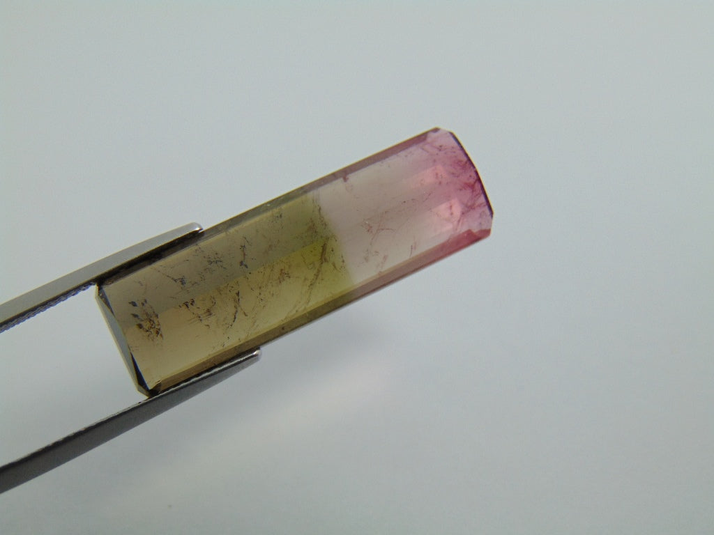16cts Tourmaline (Bicolor)