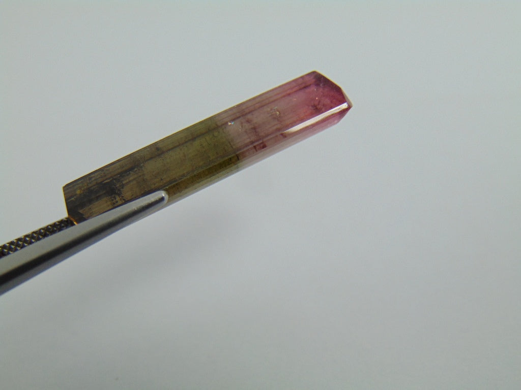 16cts Tourmaline (Bicolor)