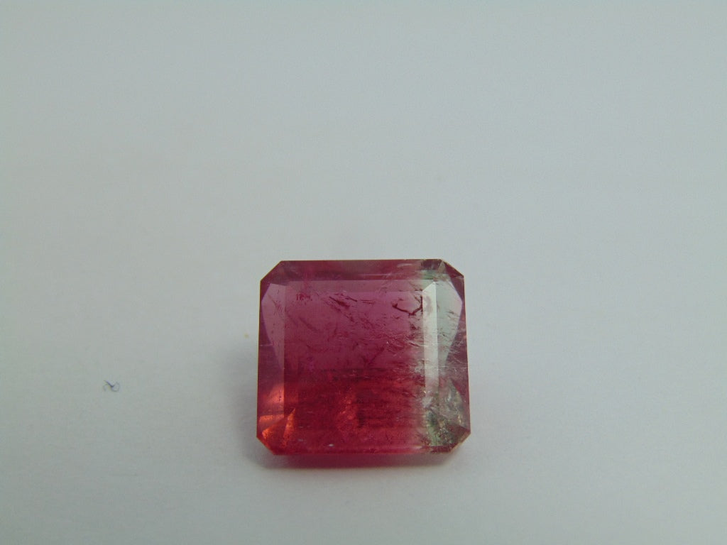 19.15ct Tourmaline Bicolor 16x15mm