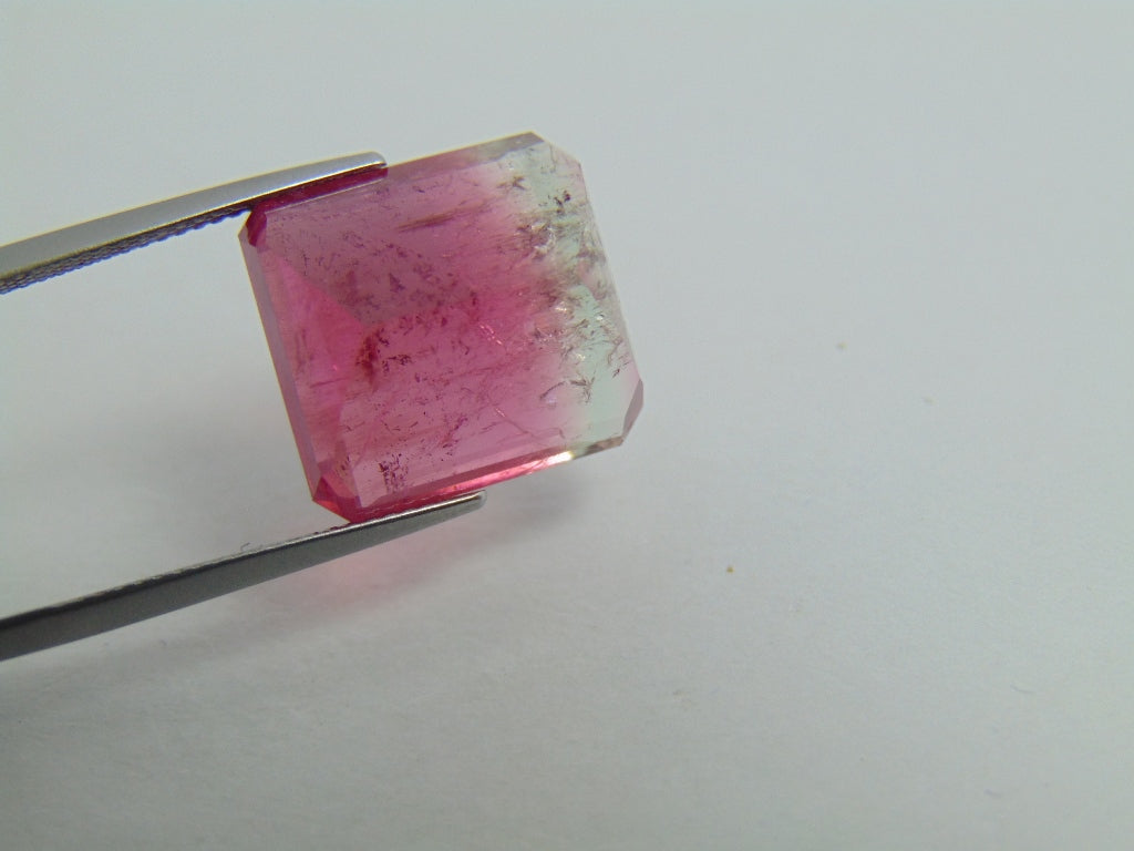 19.15ct Tourmaline Bicolor 16x15mm