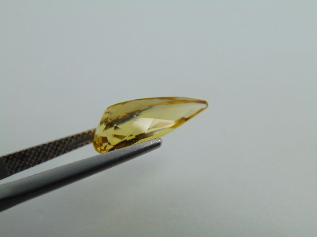 3.95cts Beryl