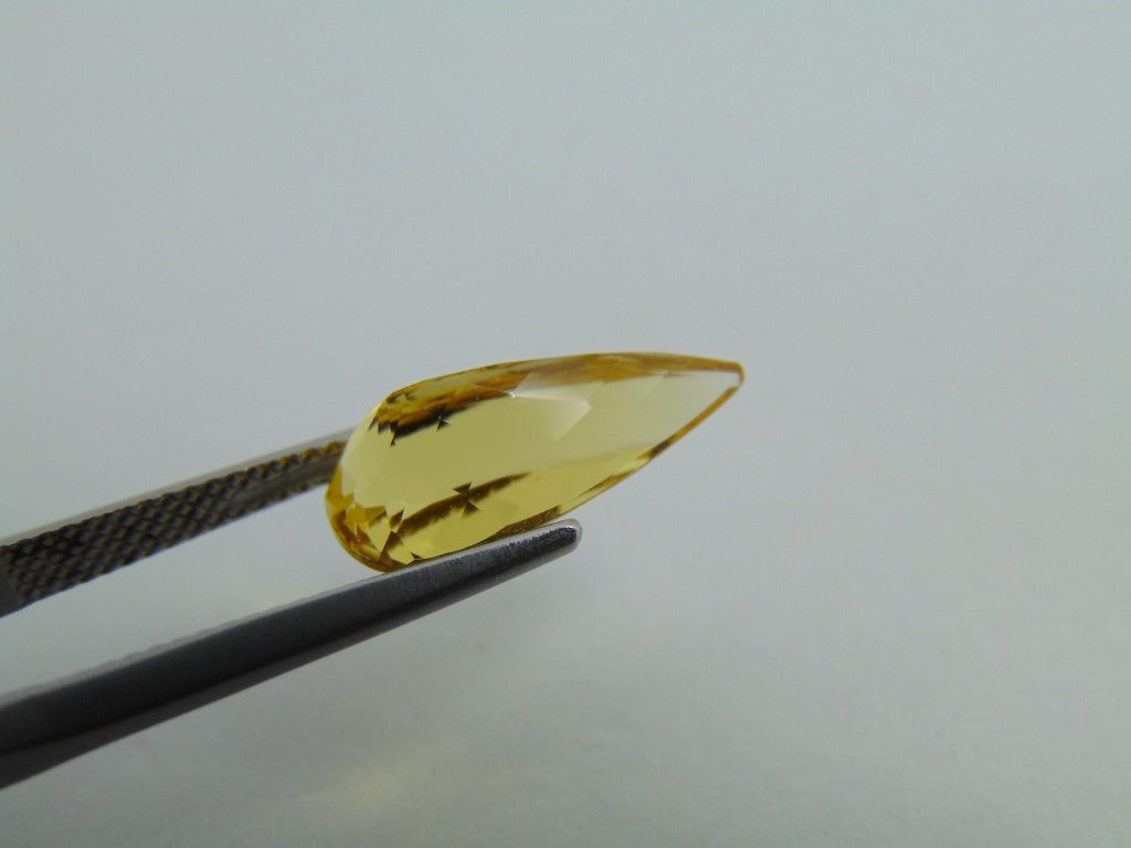 3.95cts Beryl