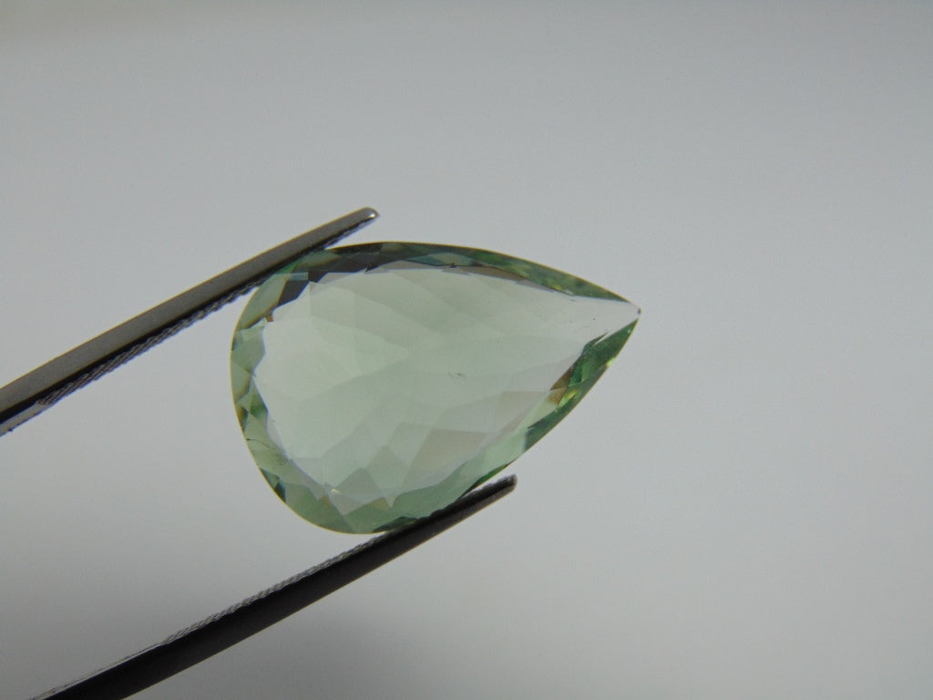14.20cts Prasiolite 21x14mm