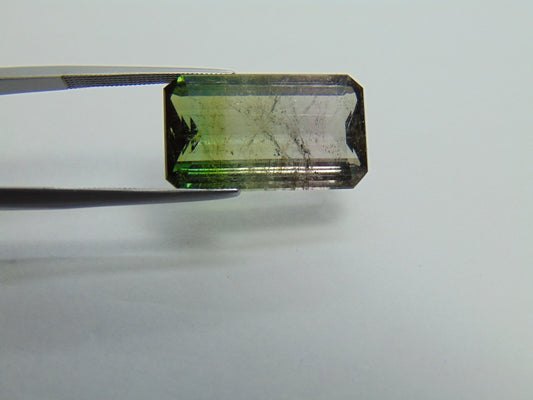 16.65ct Tourmaline Bicolor 21x12mm