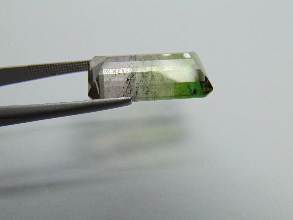 16.65ct Tourmaline Bicolor 21x12mm