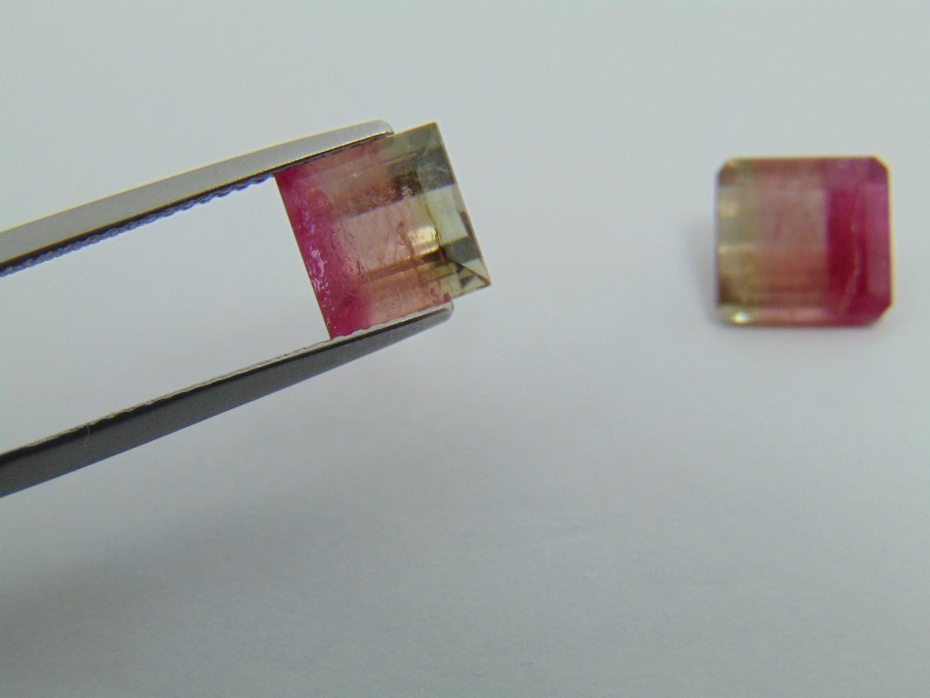 6.05cts Tourmaline (Bicolor)