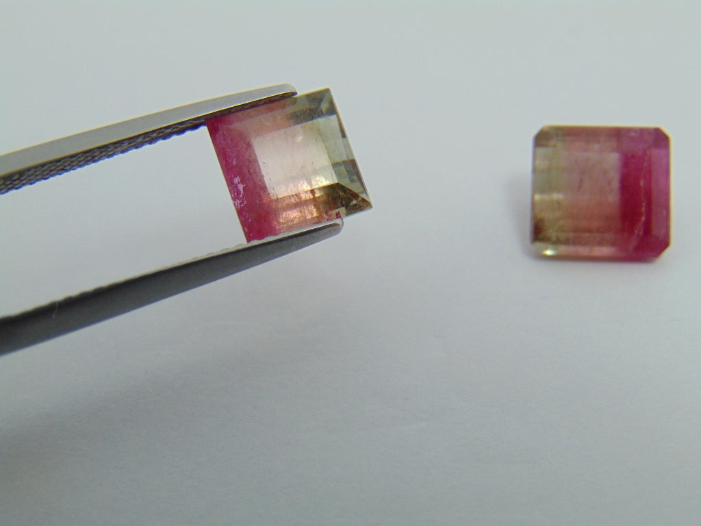 6.05cts Tourmaline (Bicolor)