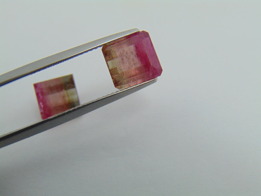 6.05cts Tourmaline (Bicolor)
