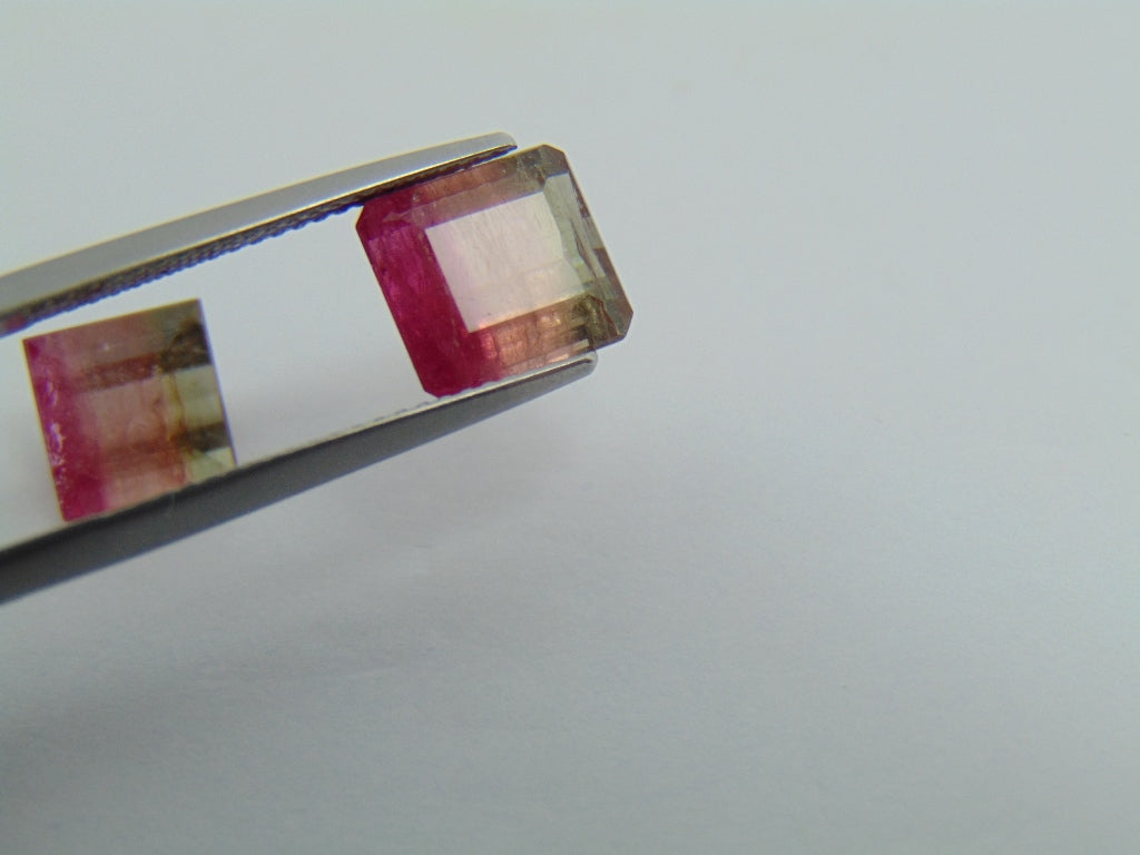 6.05cts Tourmaline (Bicolor)
