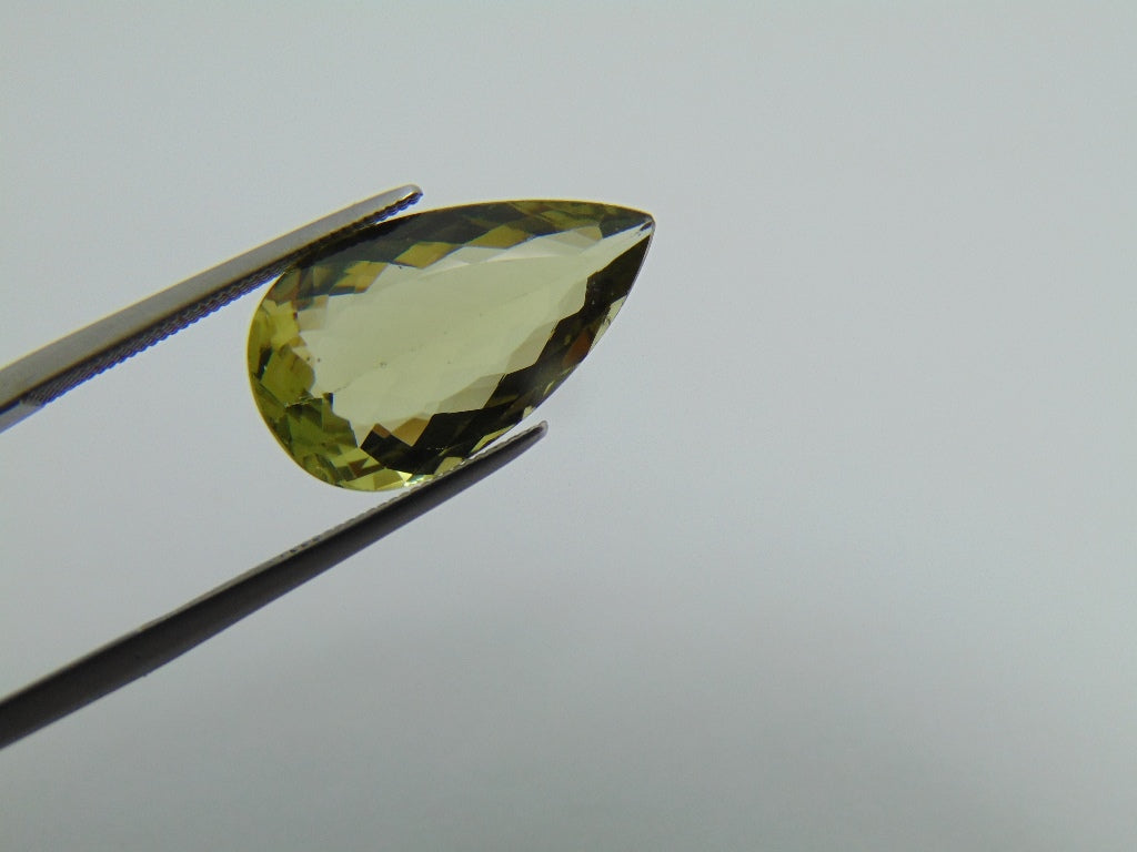 6.65cts Beryl (Green)