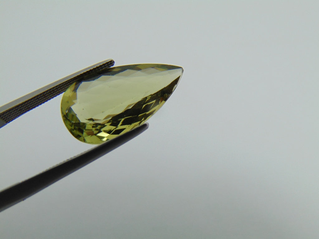 6.65cts Beryl (Green)
