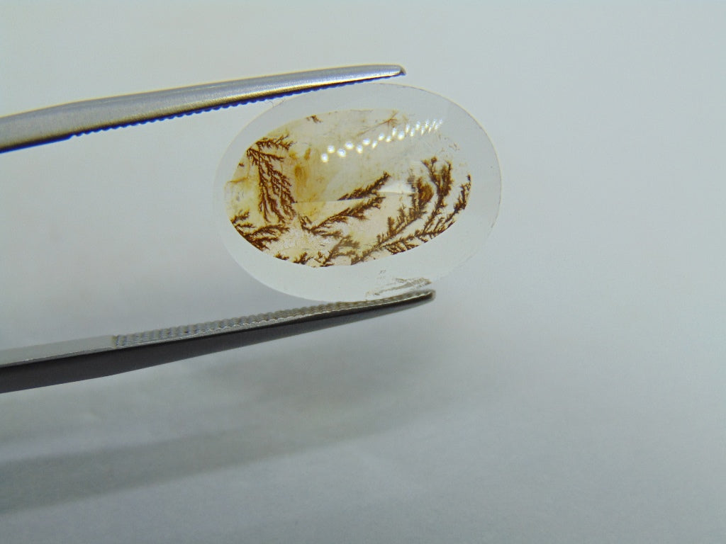 6.10ct Dendrite 16x12mm