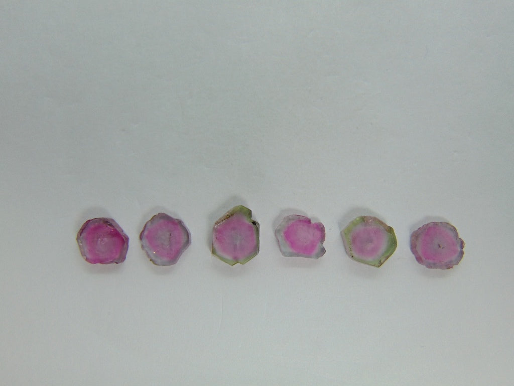 10.90ct Watermelon Tourmaline